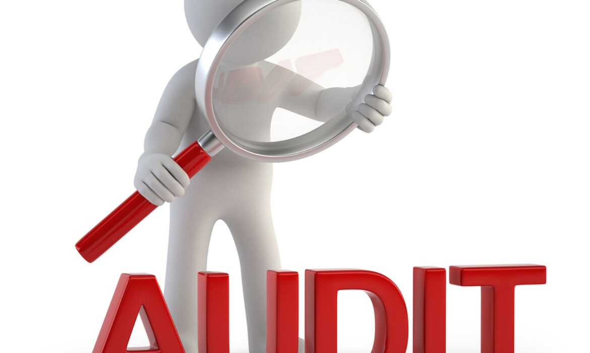 Internal audit and tax review services Coimbatore